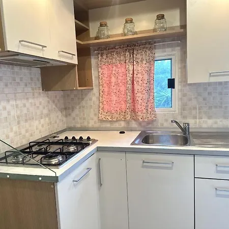 Edy פארק נופש